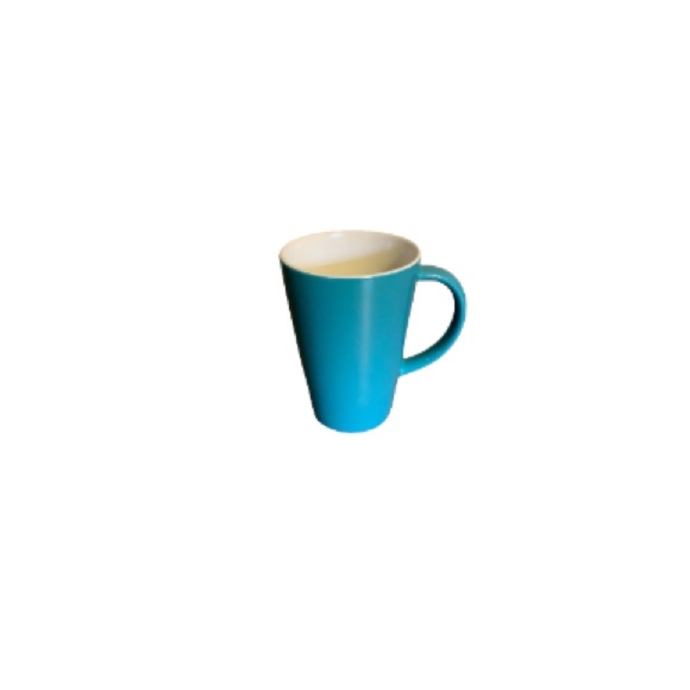 David’s Tea Blue and White Ceramic Mug